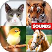 com gallant animal sounds forkids