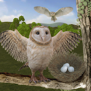 com gigago wild owl family simulator