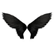 com mendone wings