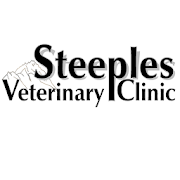 com vet2pet steeplesveterinaryclinic1317